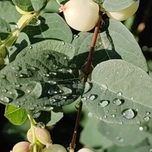 Photo #13554581