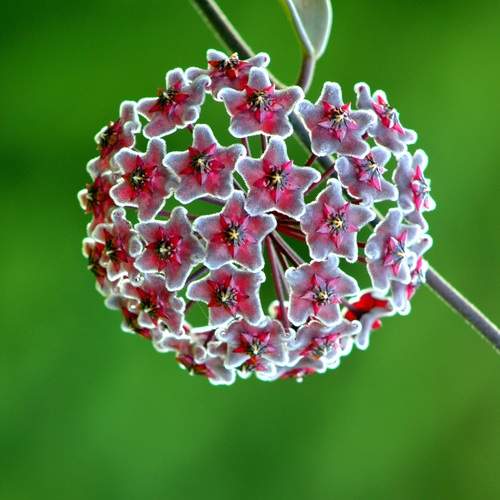 Photo #13554606