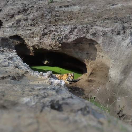 Photo #13554664