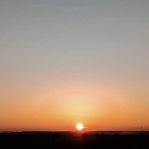 Photo #13554668
