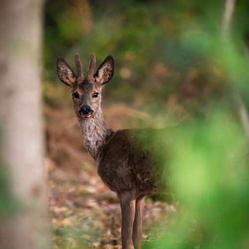 Photo #13554729