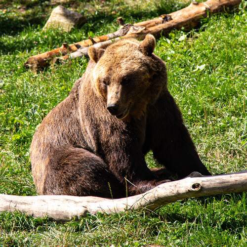 Photo #13554756