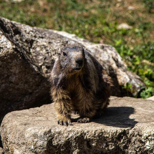 Photo #13554757