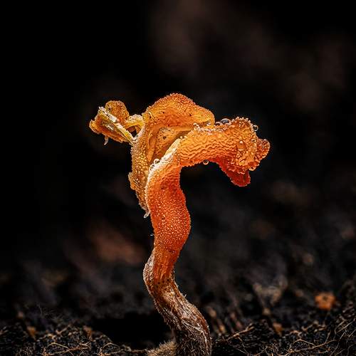 Photo #13554892