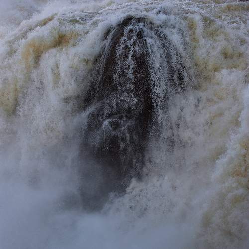 Photo #13554918