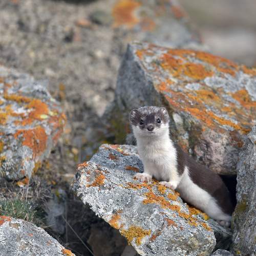Photo #13554933
