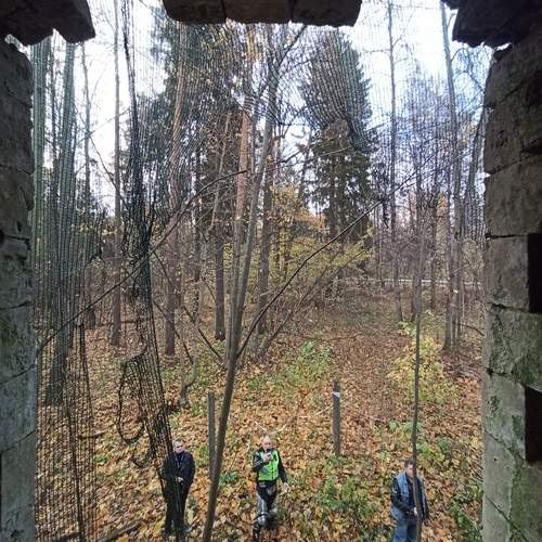 Photo #13555039