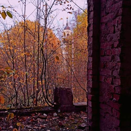Photo #13555044