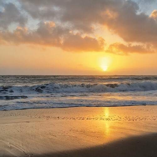 The Gilded Tide