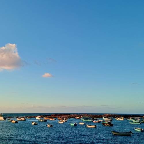 Photo #13555307