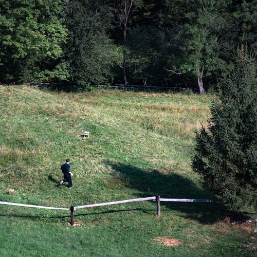 Photo #13555343