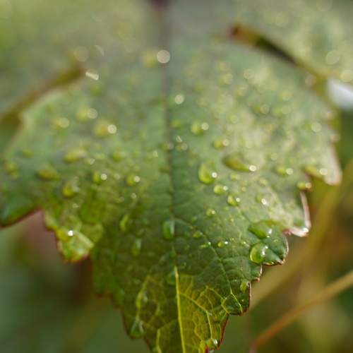 Photo #13555355