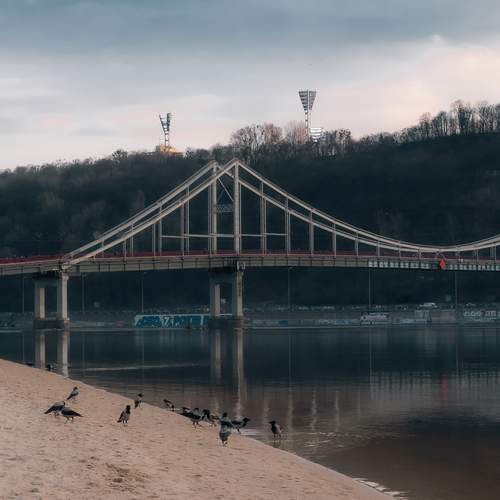 Photo #13555356