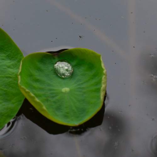 Photo #13555363