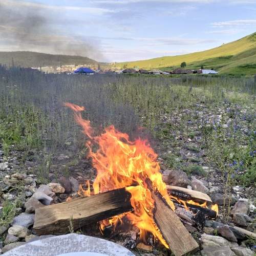 Photo #13555369