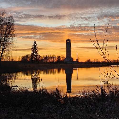 Photo #13555393