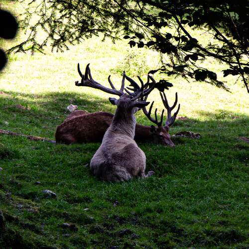 Photo #13555430