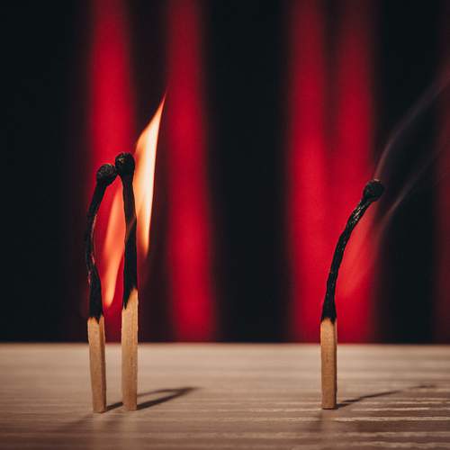 Photo #13555444