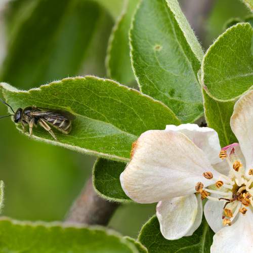 Photo #13555455