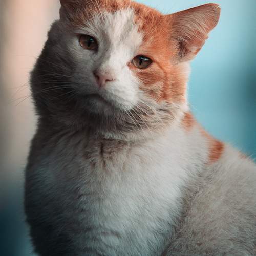 Photo #13555503