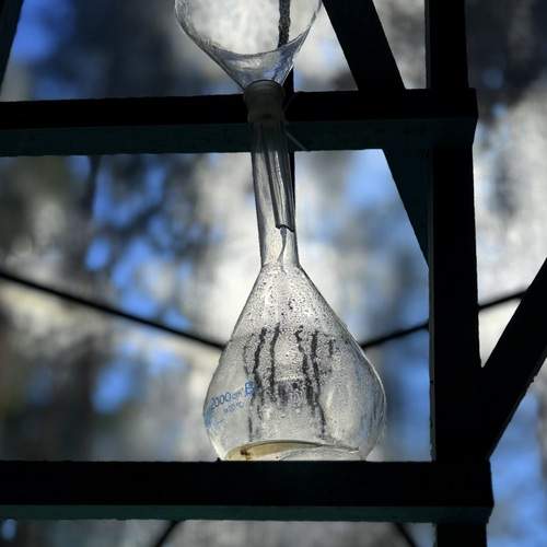 Photo #13555520