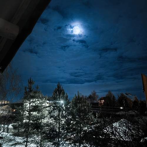 Photo #13555524