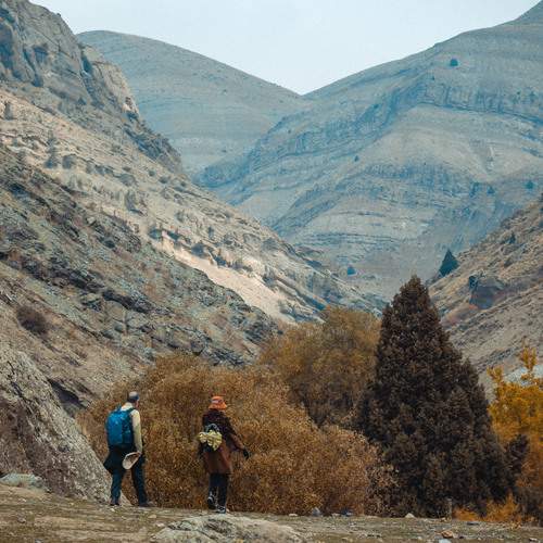 Photo #13555581