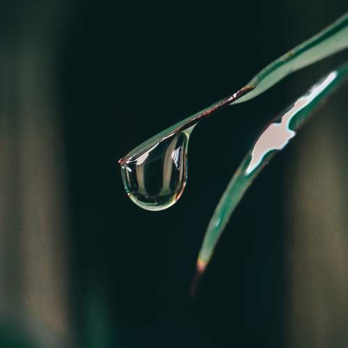 Photo #13555604