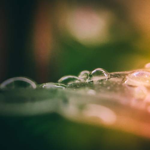 Photo #13555605