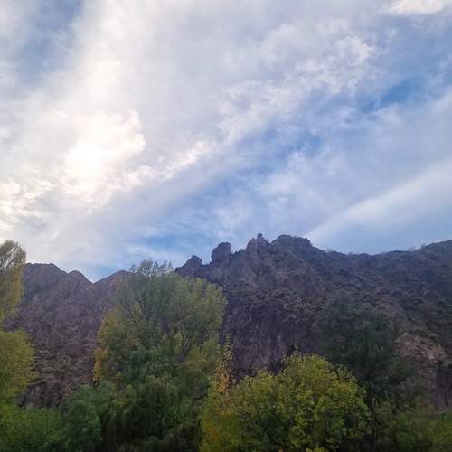 Photo #13555622