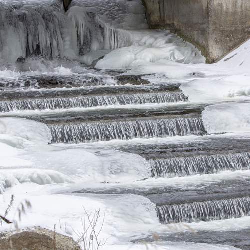 Photo #13555641