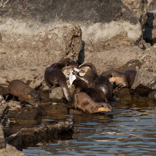 Photo #13555686