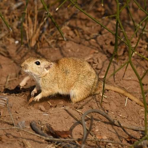 Photo #13555688