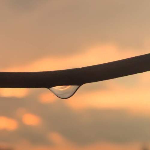 Photo #13555816