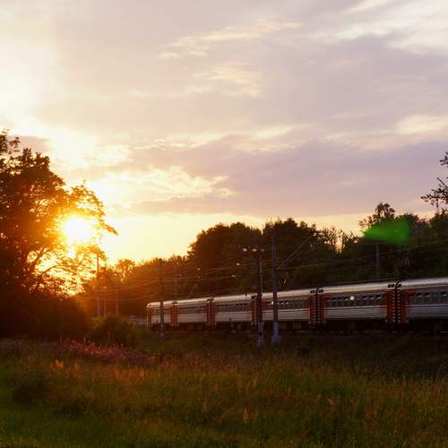 Photo #13555885