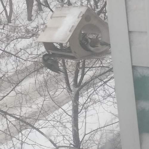 Photo #13555929