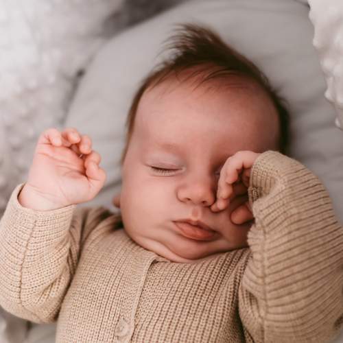 Photo #13556060