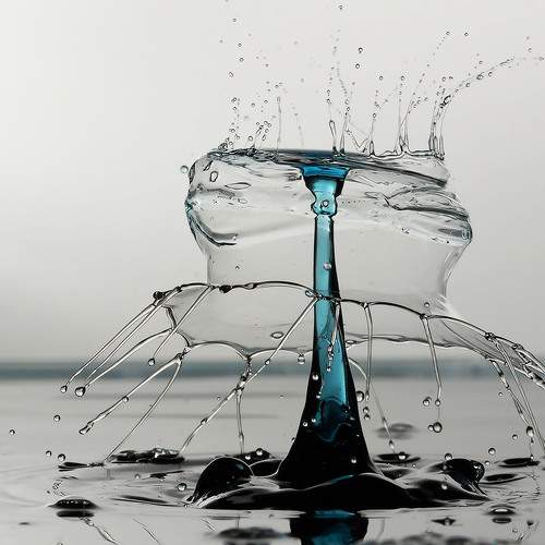 Photo #13556095