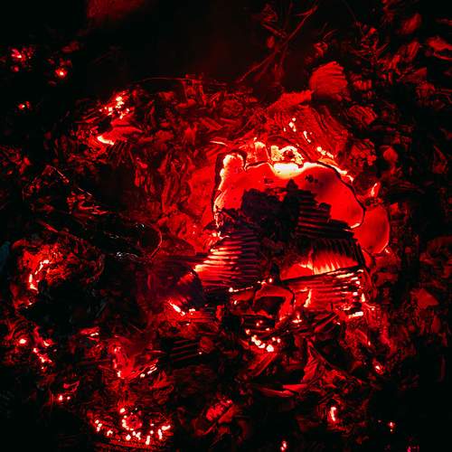 Photo #13556179