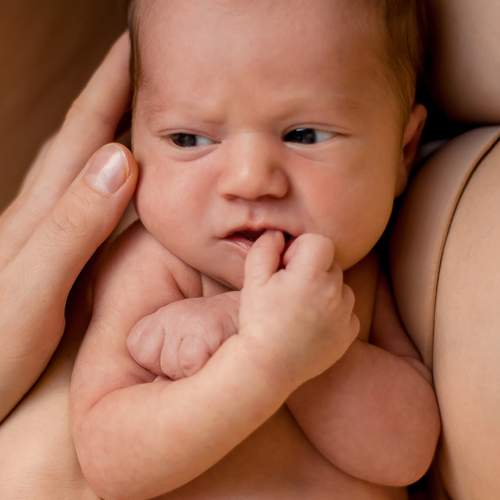 Photo #13556203