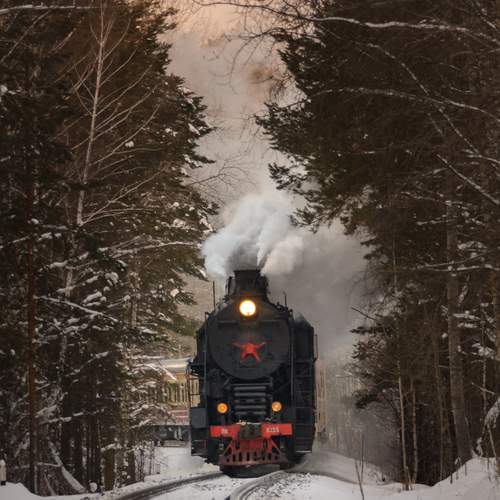 Photo #13556340
