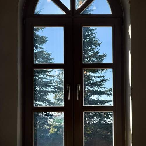 Photo #13556350