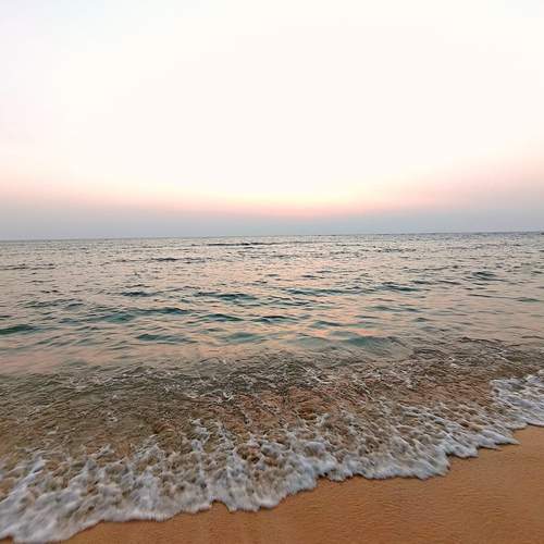 Photo #13556457