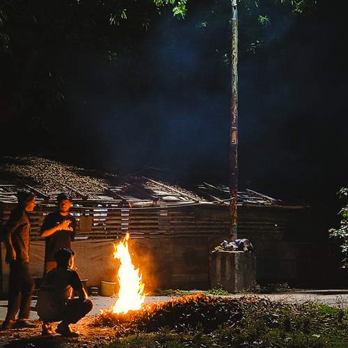 Photo #13556509