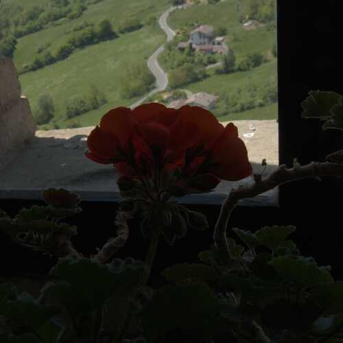 Photo #13556700