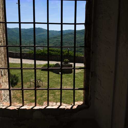 Photo #13556702