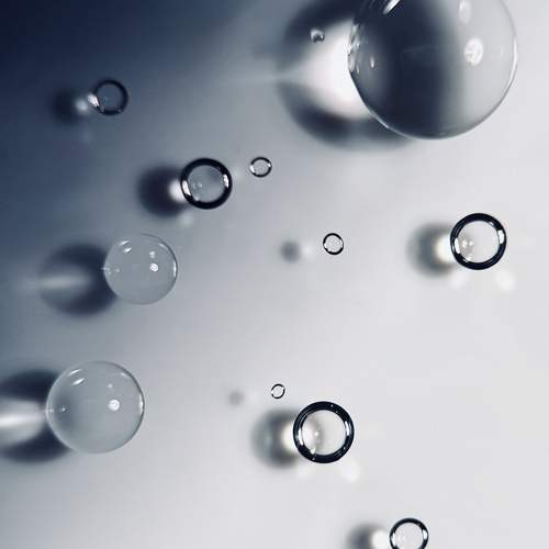 Photo #13556739