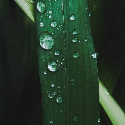 Photo #13556755
