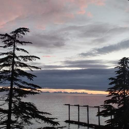 Photo #13556759
