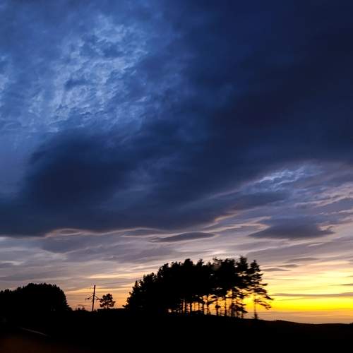 Photo #13556773